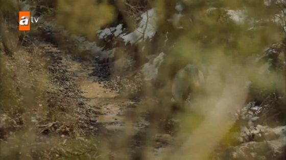 مسلسل الملحمة الحلقة 15 قصة عشق