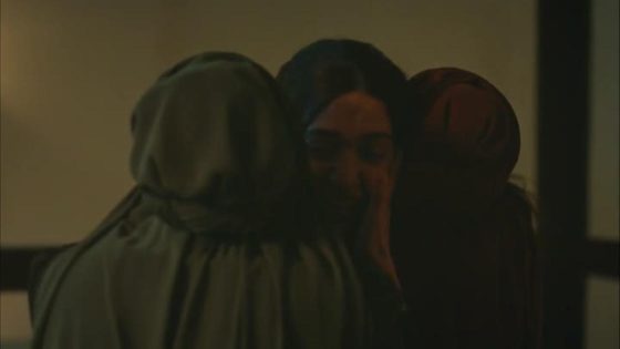 مسلسل انت وطني الحلقة 43 قصة عشق