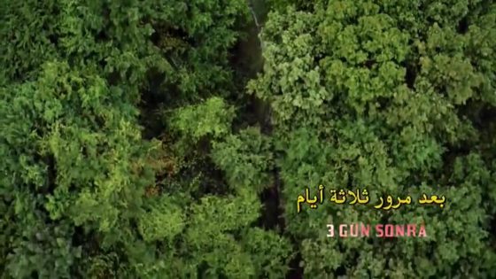 مسلسل العهد الحلقة 53 قصة عشق