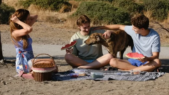 Friends having a beach picnic with a dog, sharing watermelon slices on a checkered blanket and a basket nearby.